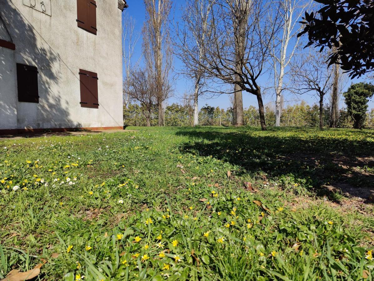Ca Degli Aironi Villa Cittanova  Exterior photo