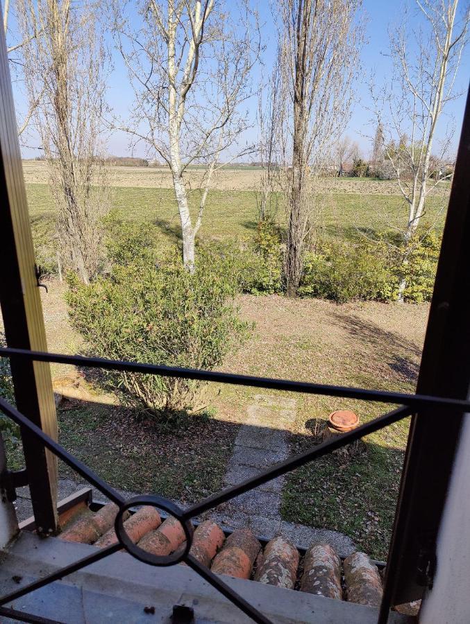 Ca Degli Aironi Villa Cittanova  Exterior photo